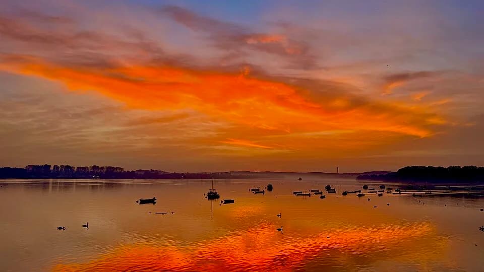 Zemun