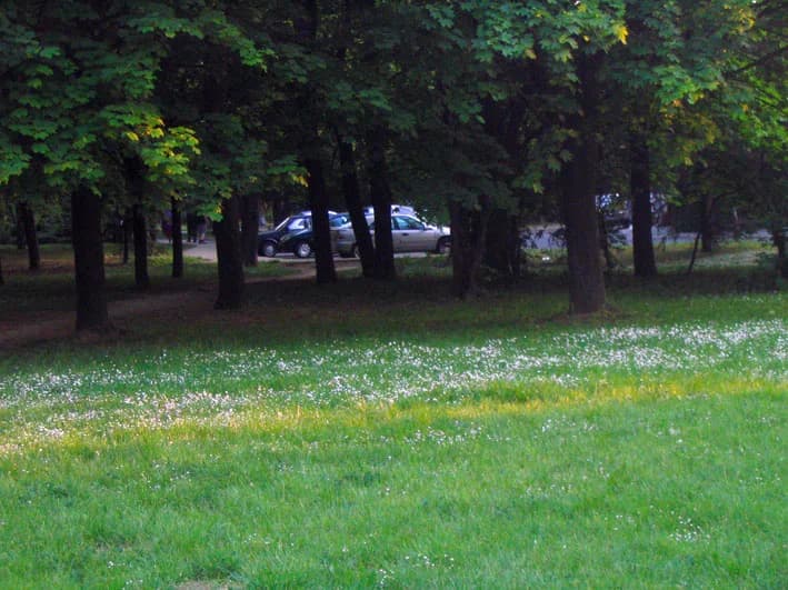 Čukarica