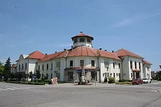 Bogatić