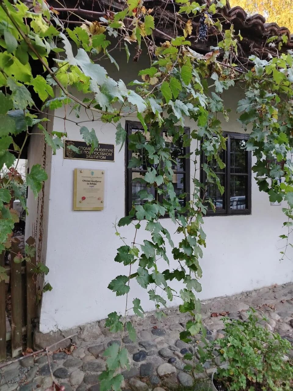 Kraljevo