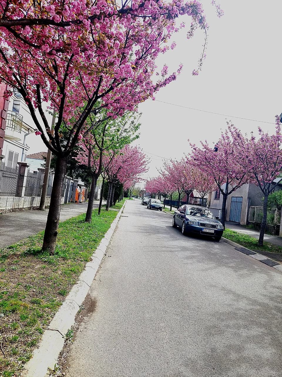 Kruševac