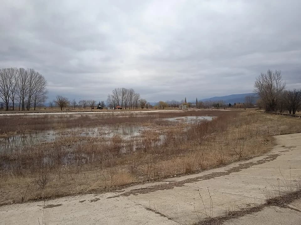 Pirot