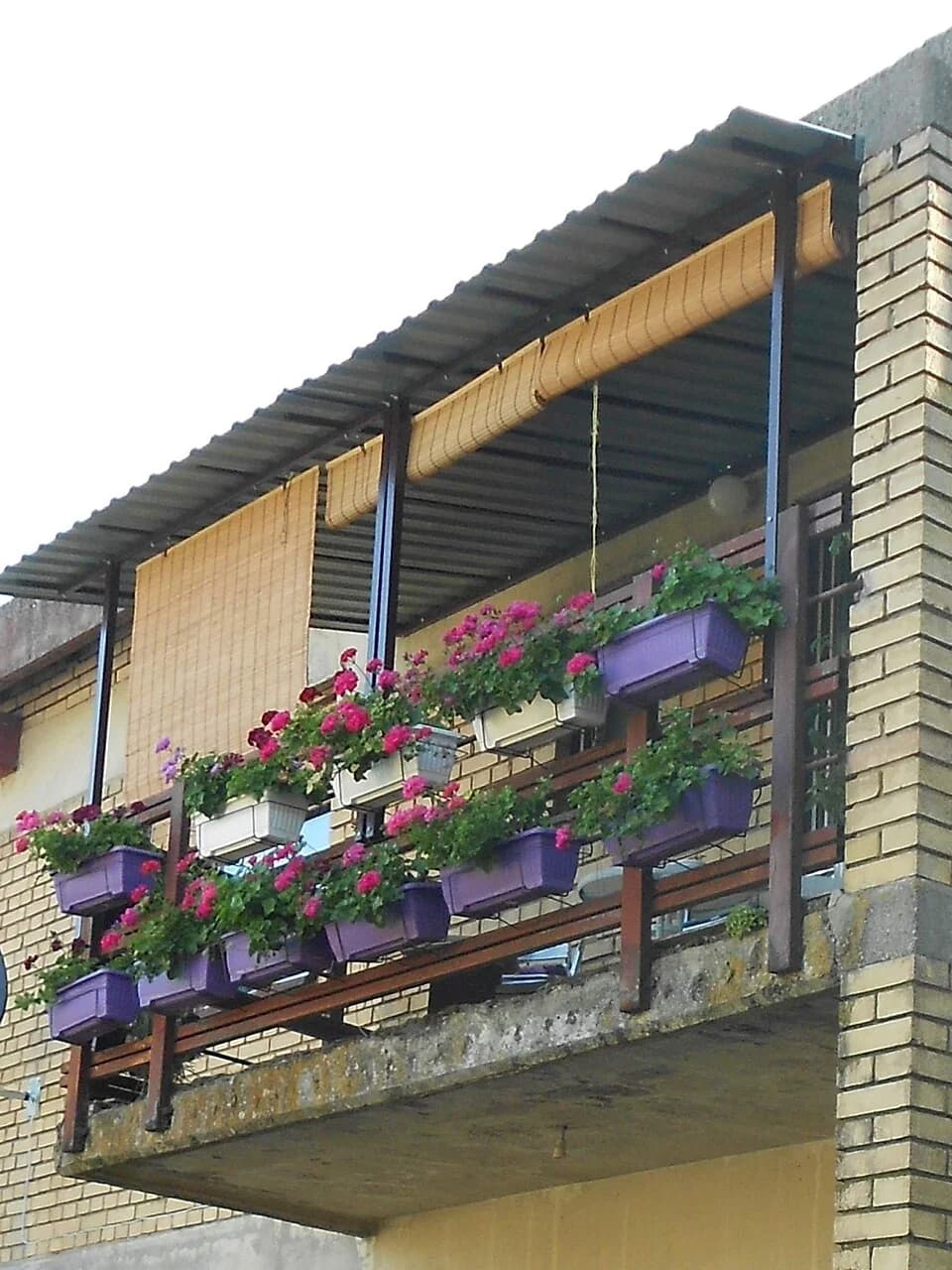 Sremska Mitrovica