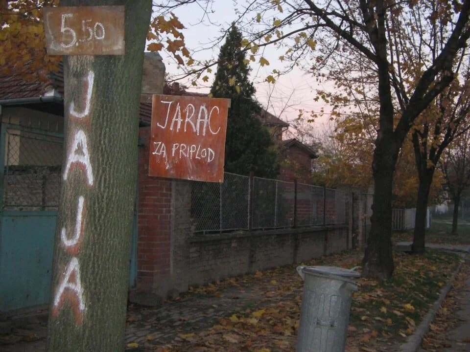 Subotica