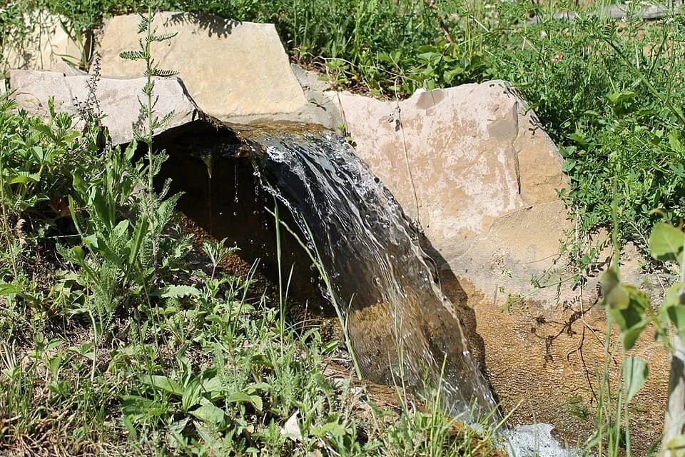 Kosovo Polje