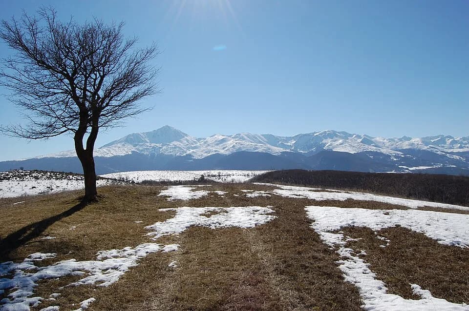 Štrpce
