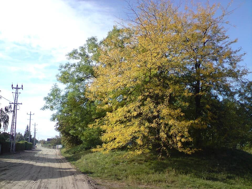 Hajdukovo