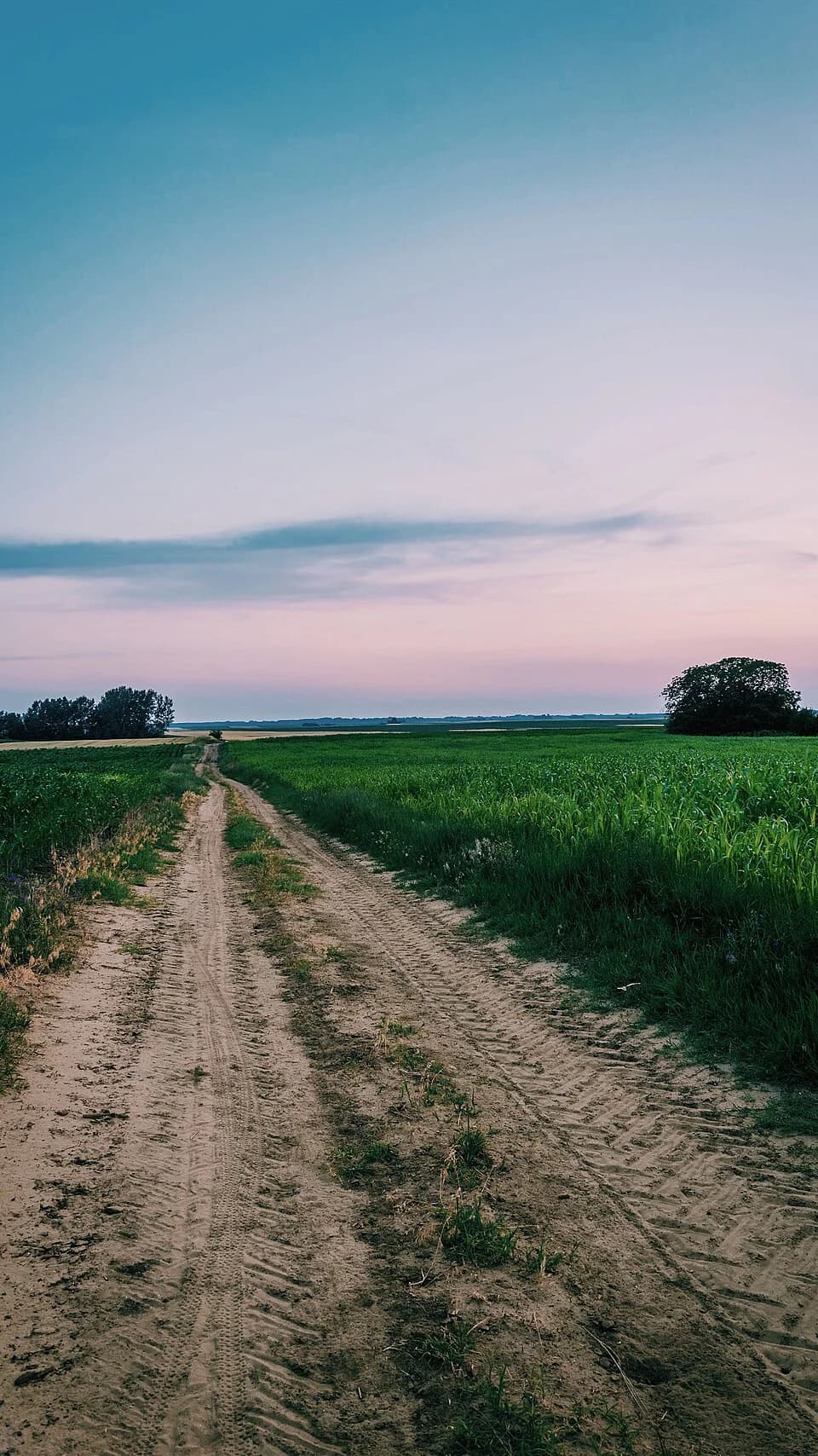 Kelebija