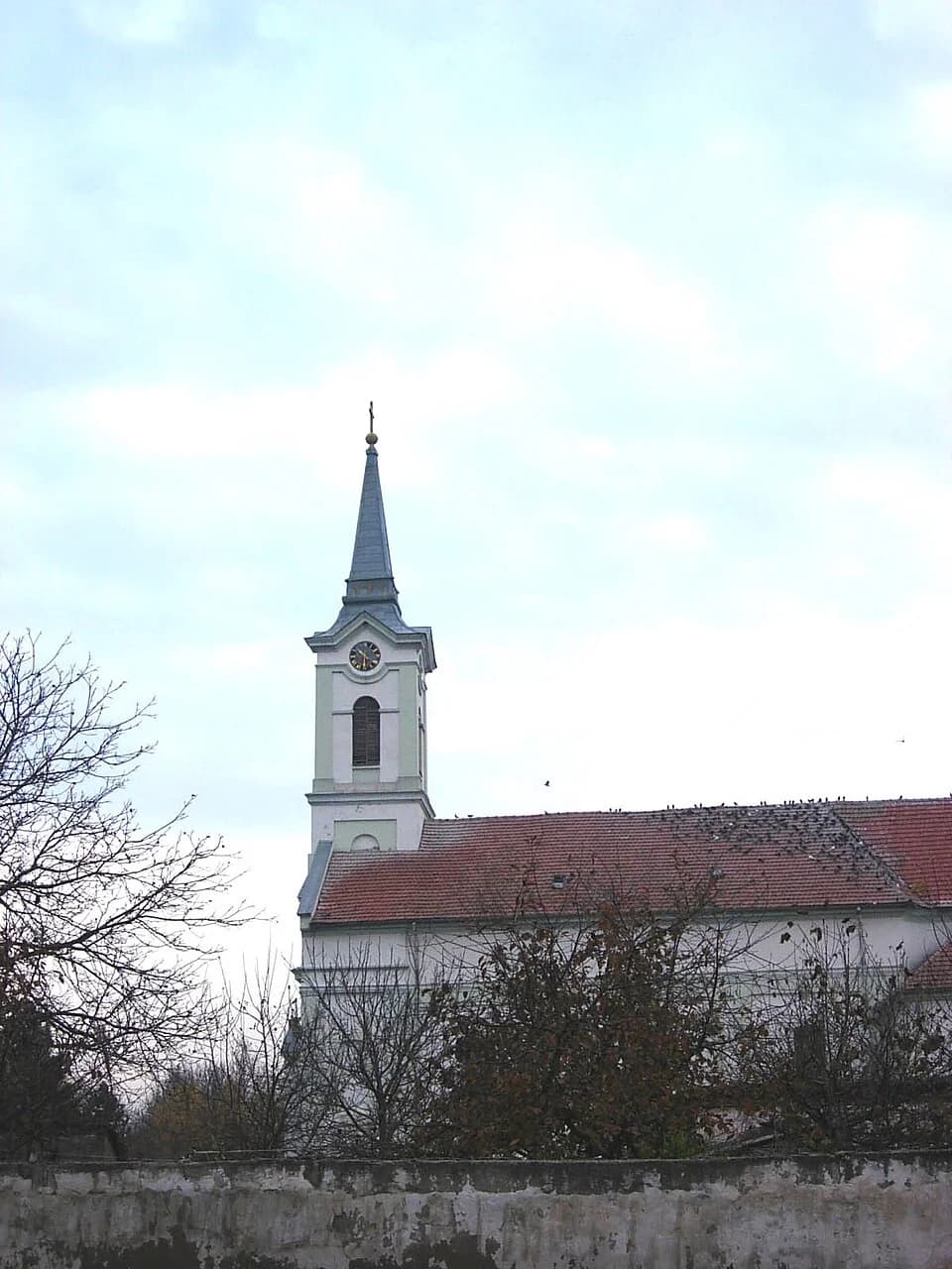 Riđica