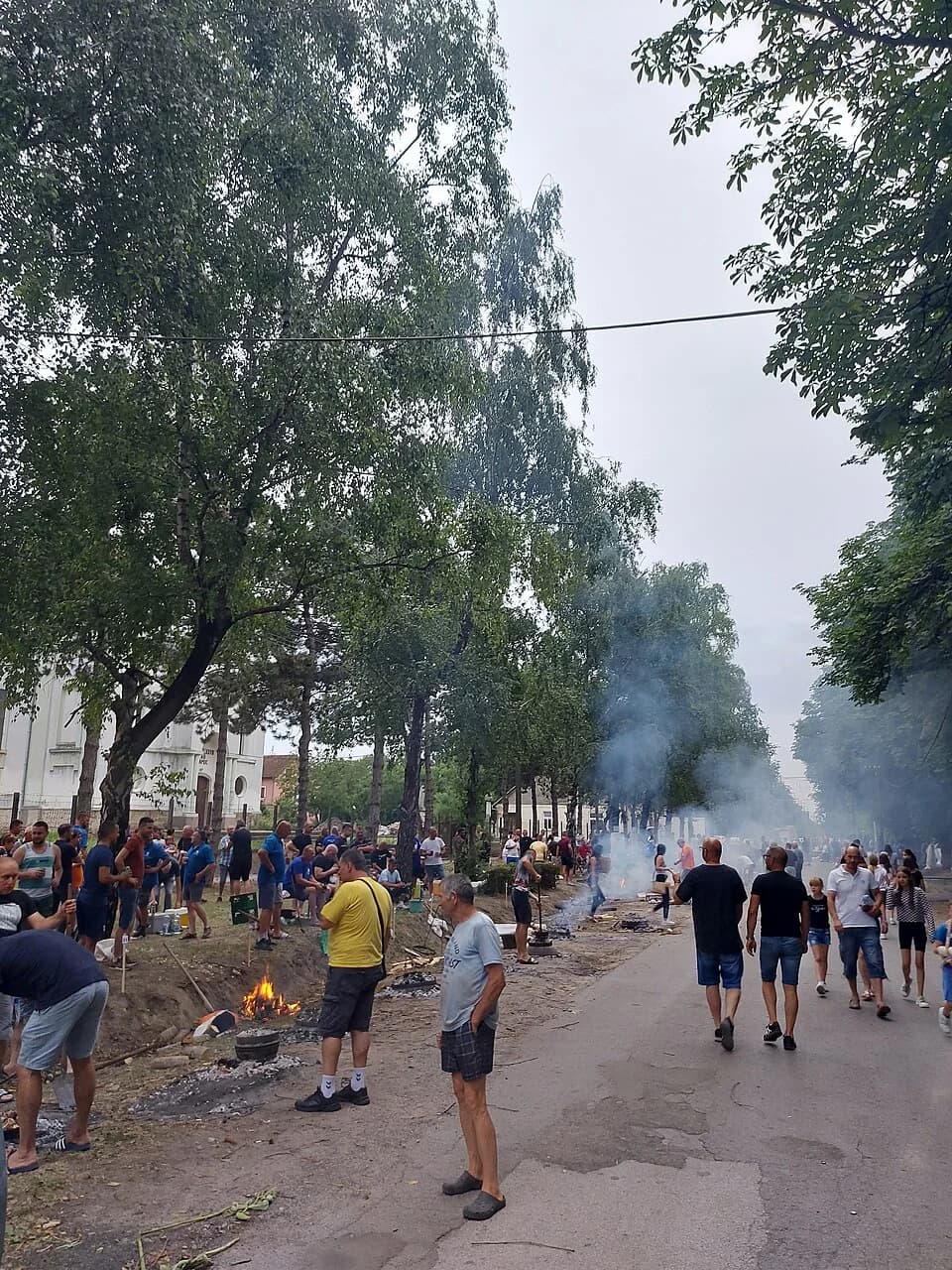 Riđica
