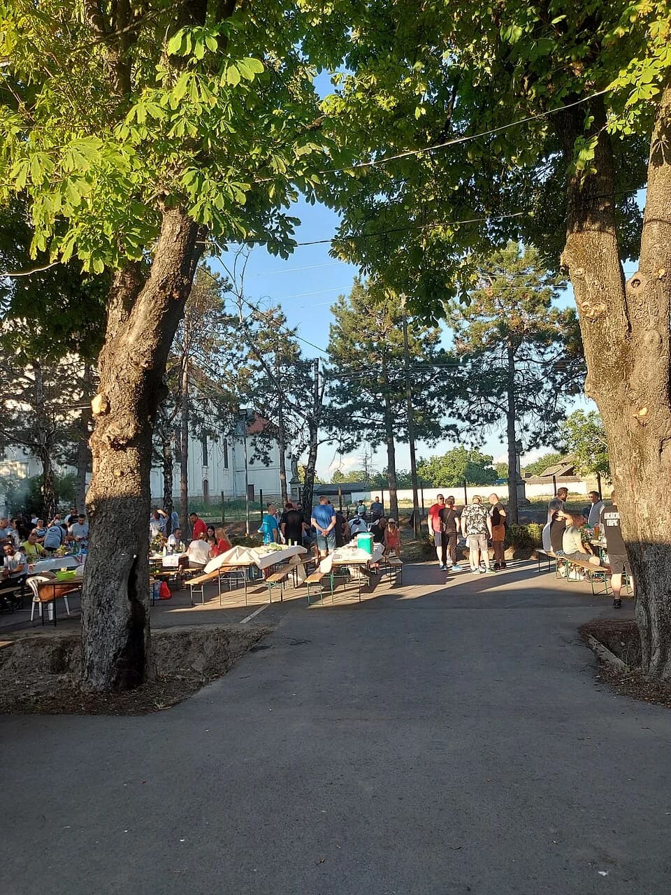 Riđica