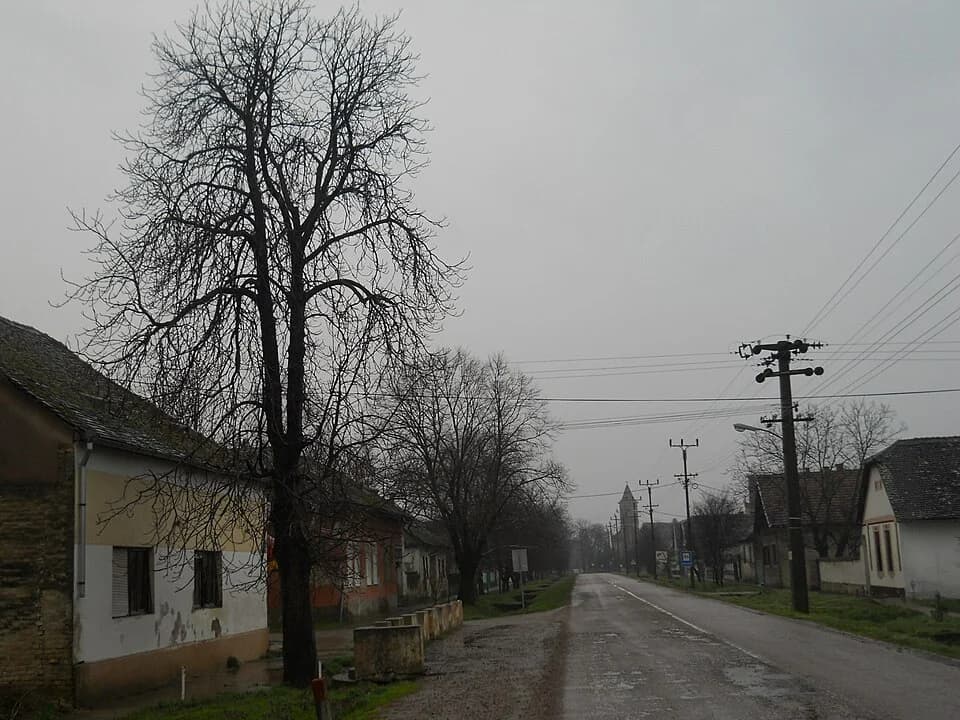 Kolut