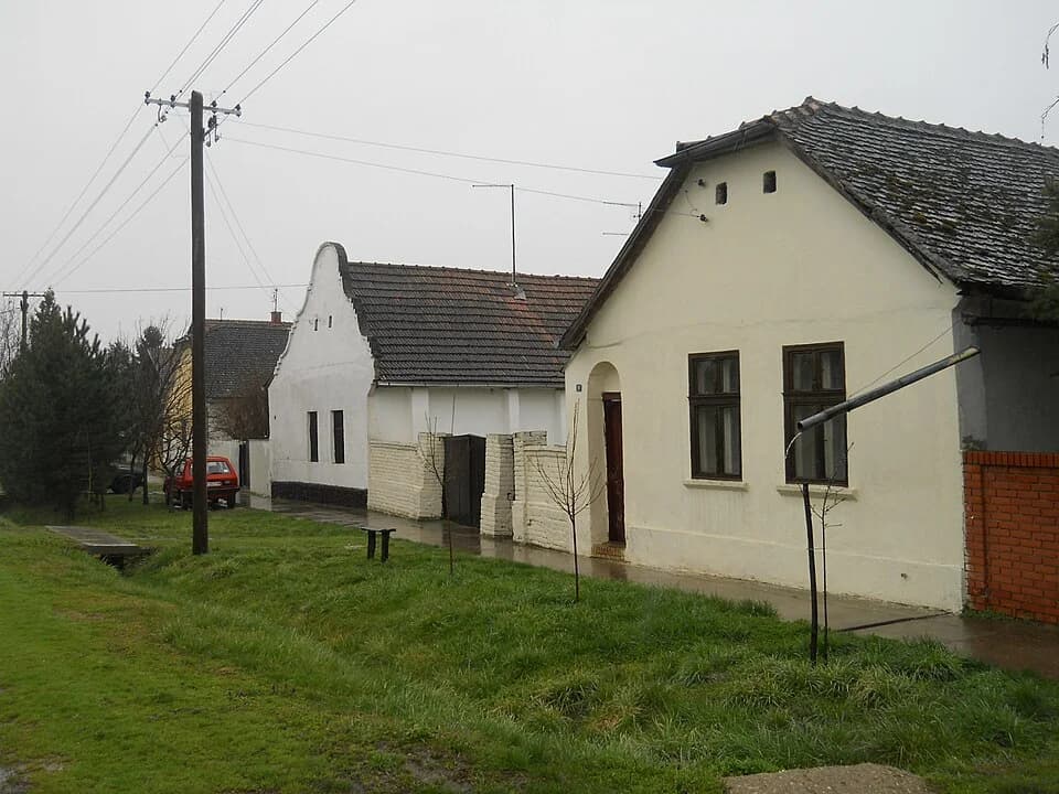Kolut