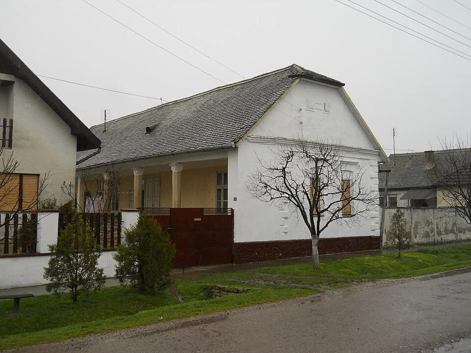 Kolut