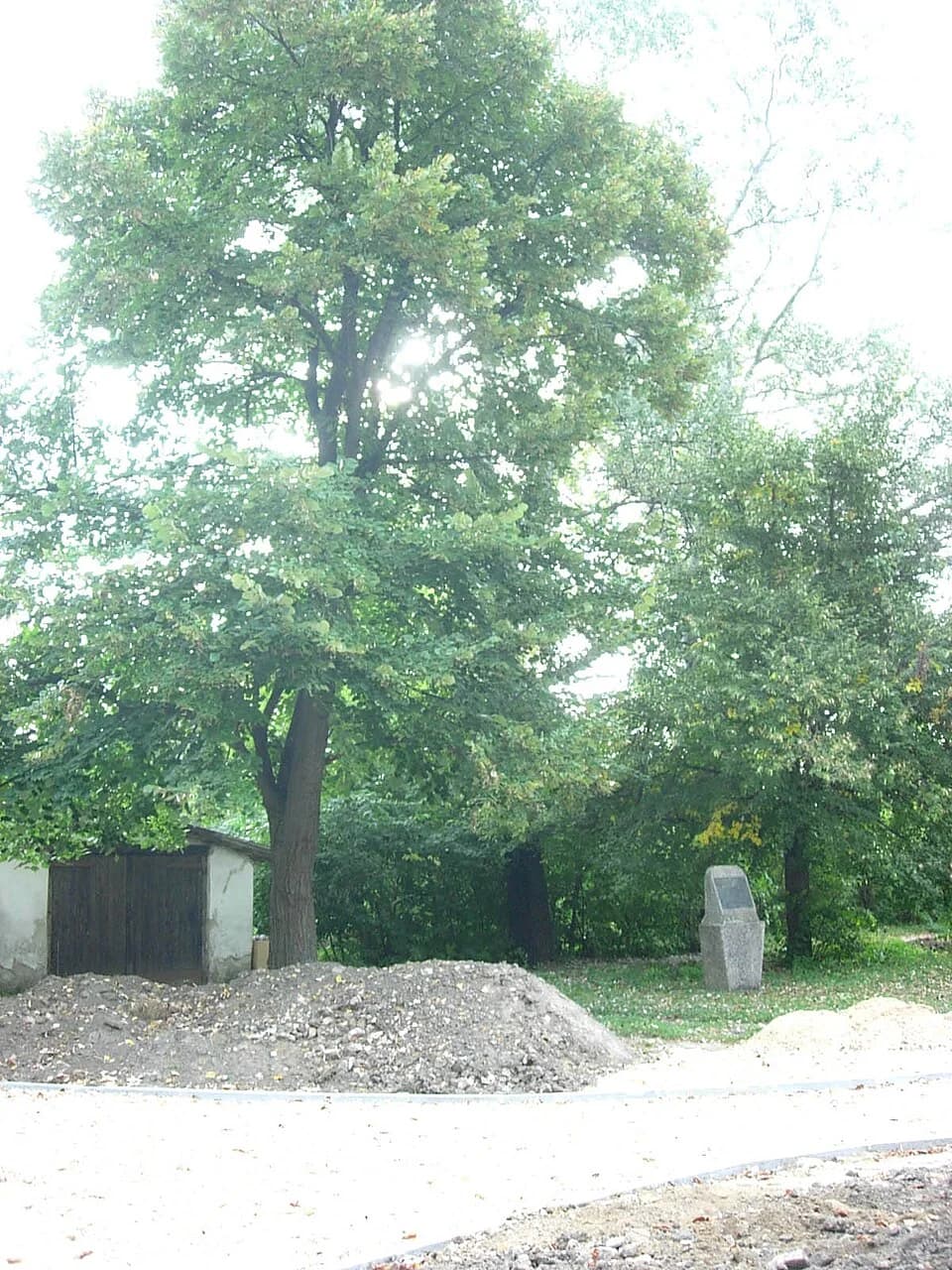 Banatsko Veliko Selo