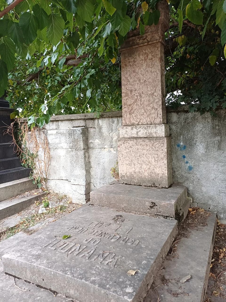Novi Sad