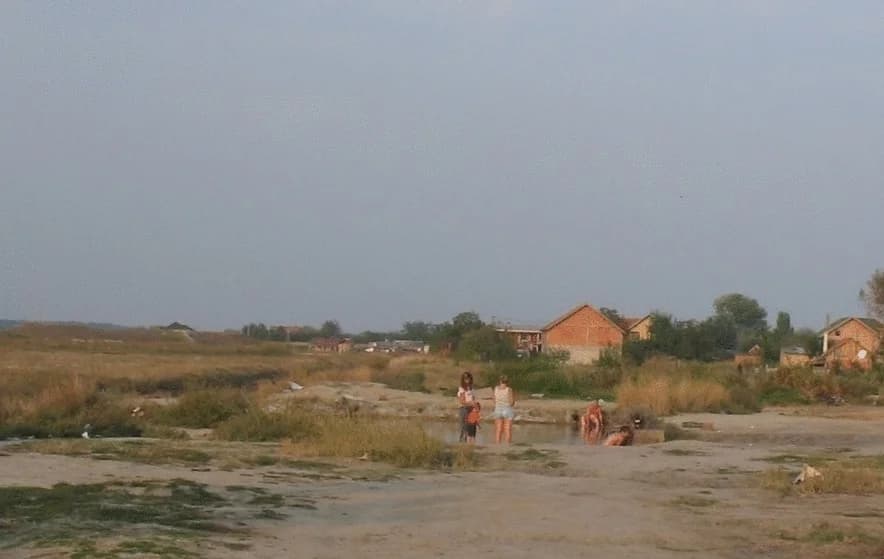 Ovča