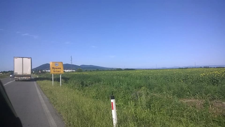 Pavliš