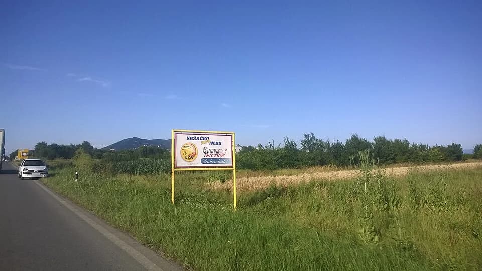 Pavliš