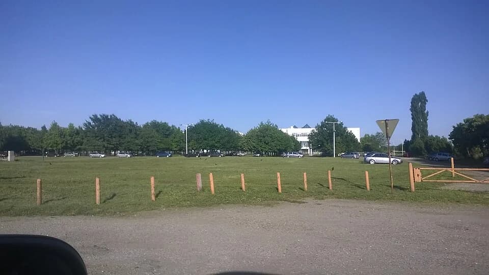 Pavliš