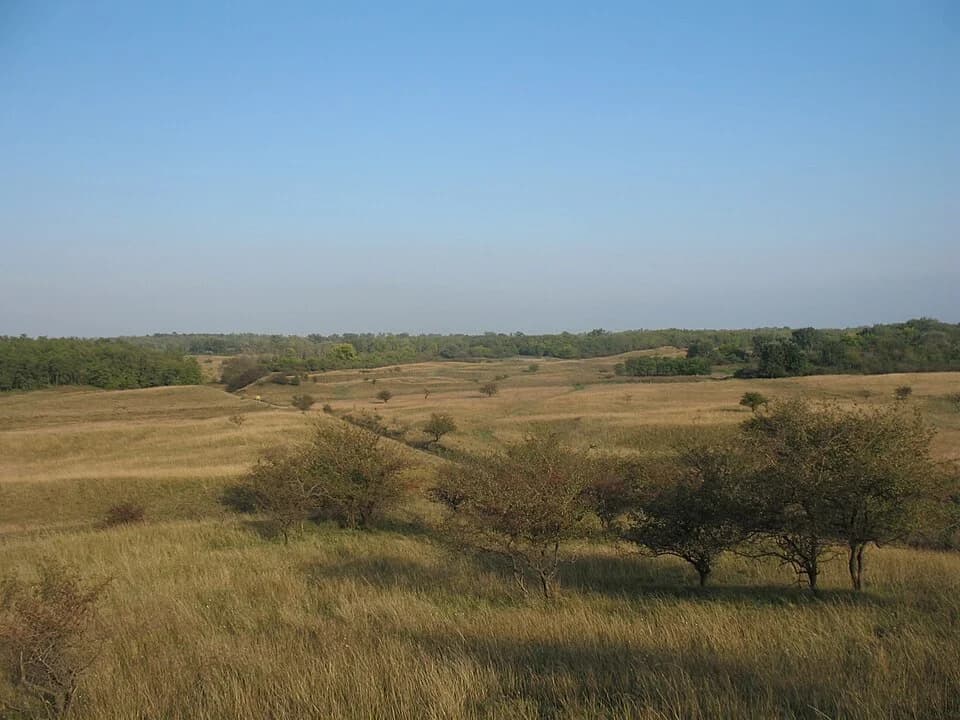 Dolovo
