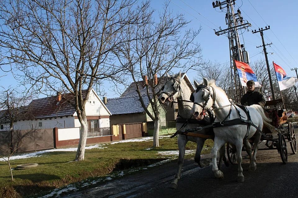 Laćarak