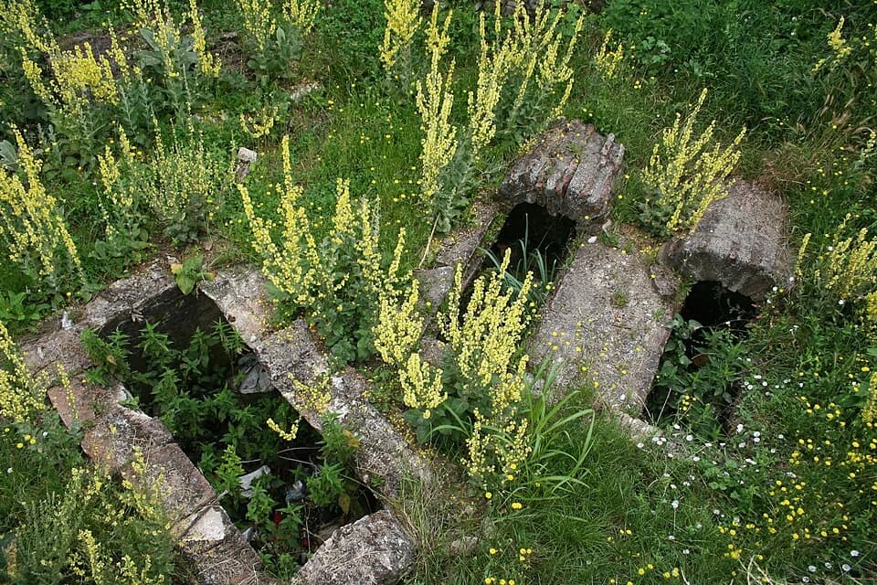 Mačvanska Mitrovica