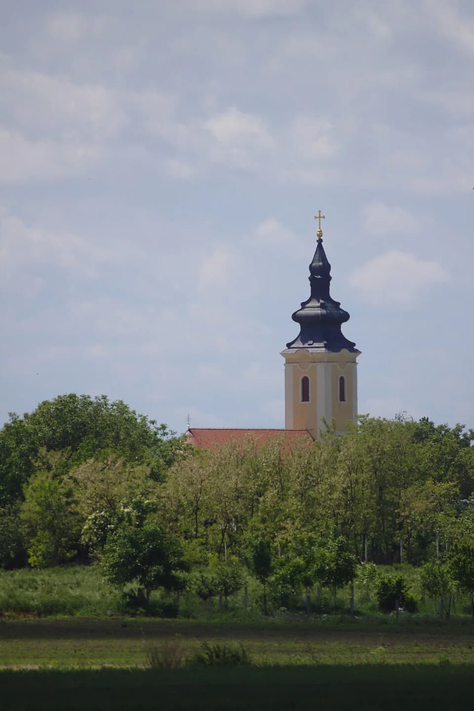 Martinci