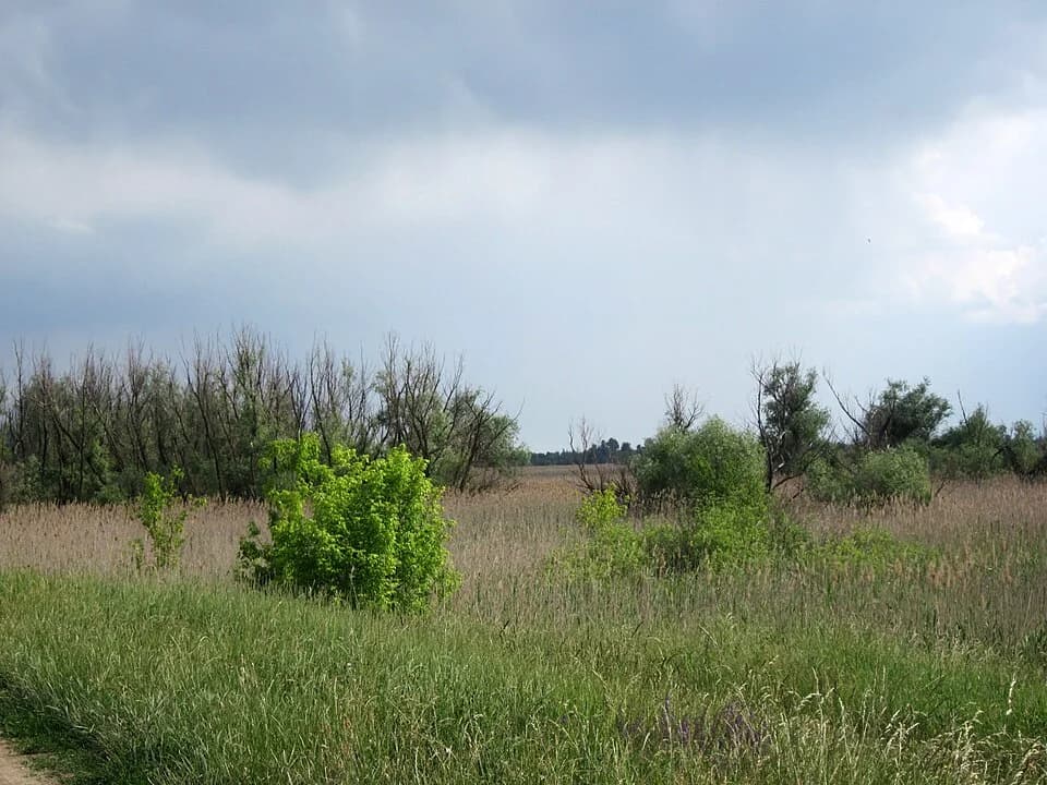 Lukino Selo