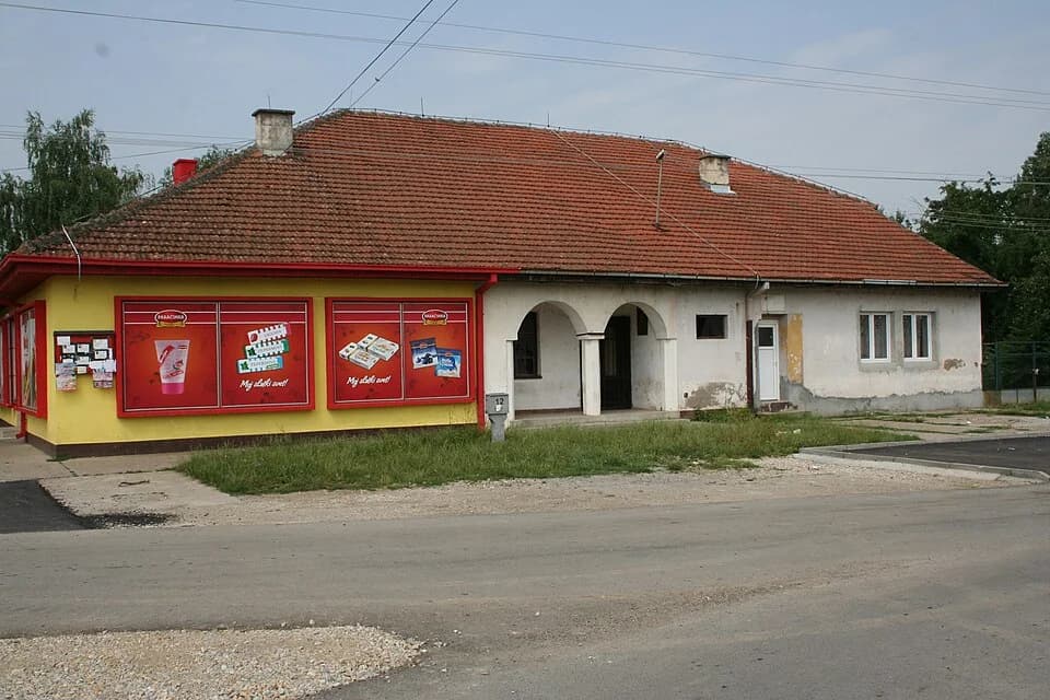 Zasavica I