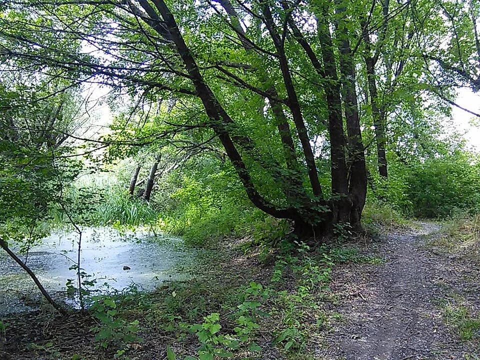 Stajićevo