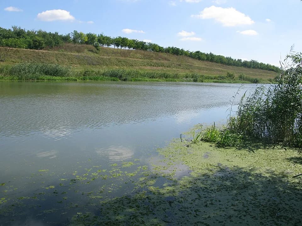 Vlajkovac