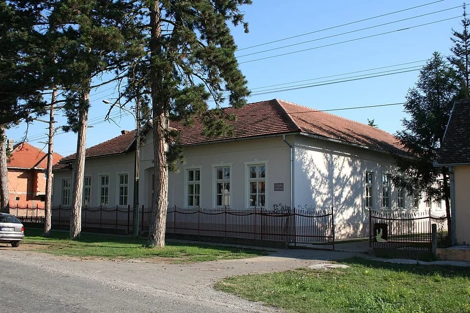 Mačvanski Pričinović