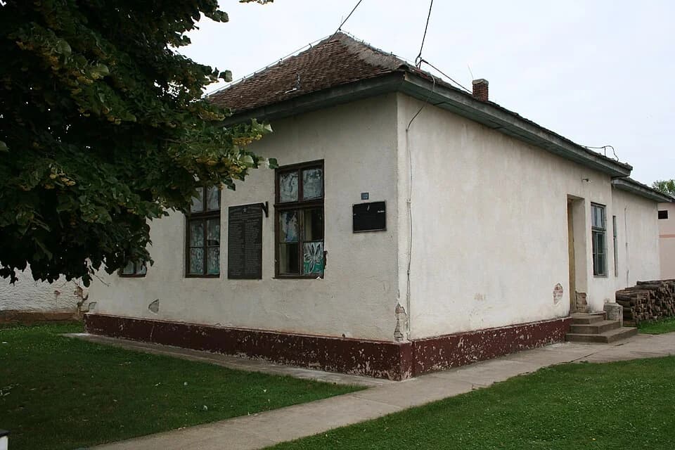 Zasavica II