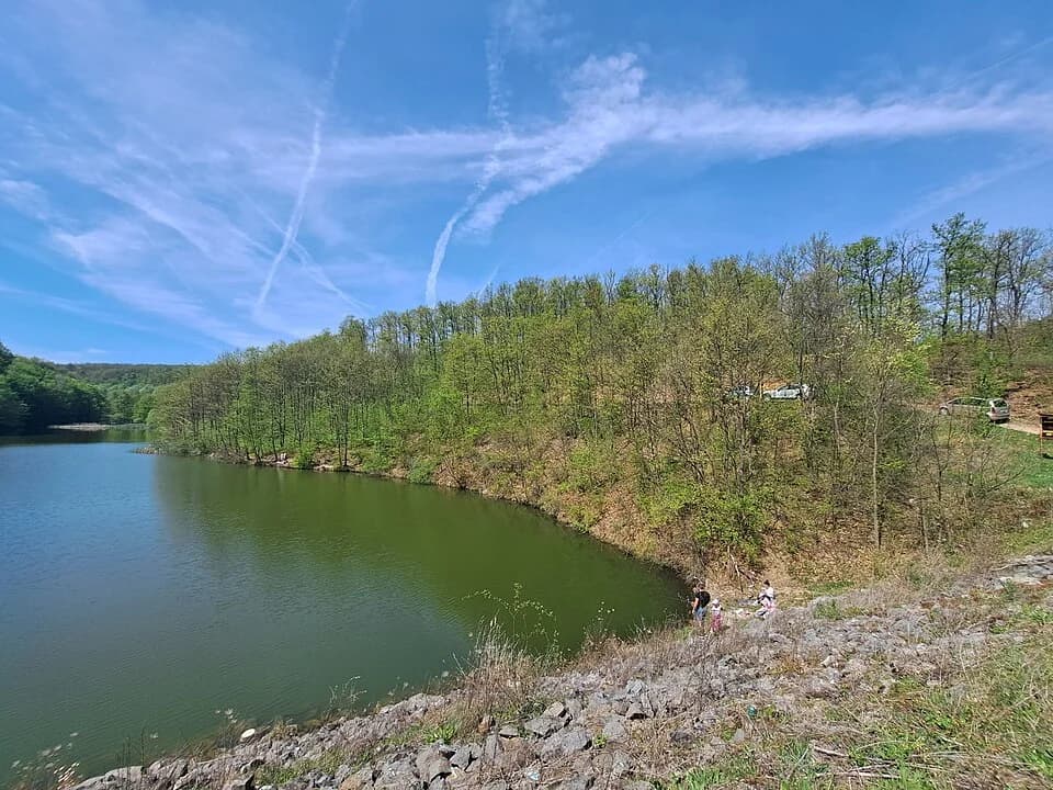 Ripanj