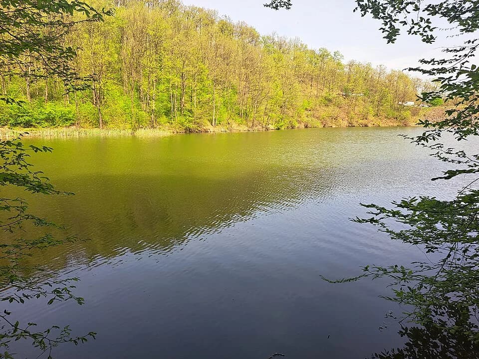 Ripanj