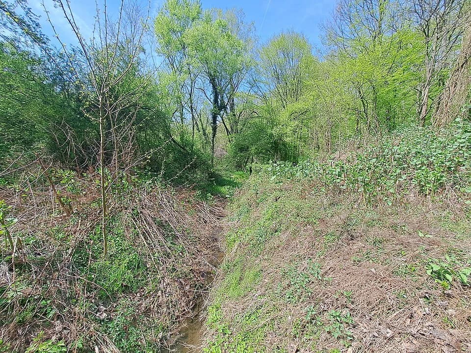Ripanj