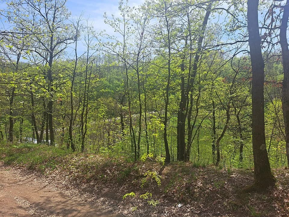 Ripanj