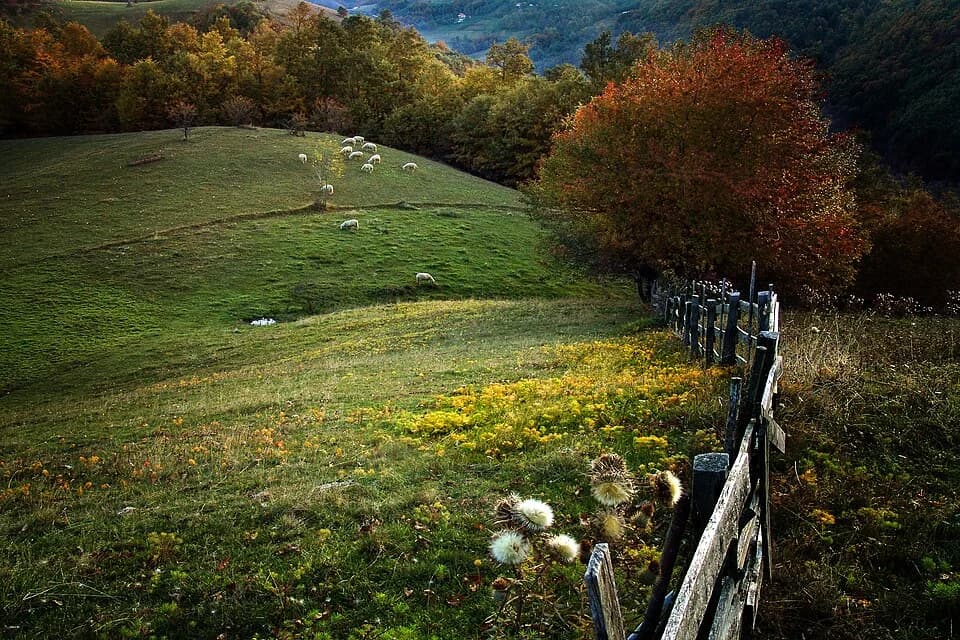 Valjevo
