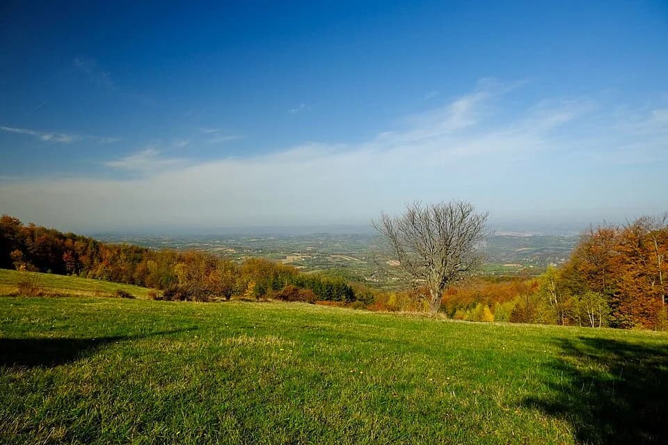 Valjevo