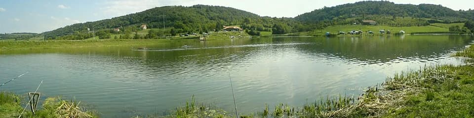 Petnica