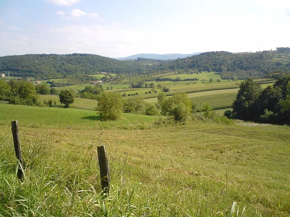 Petnica