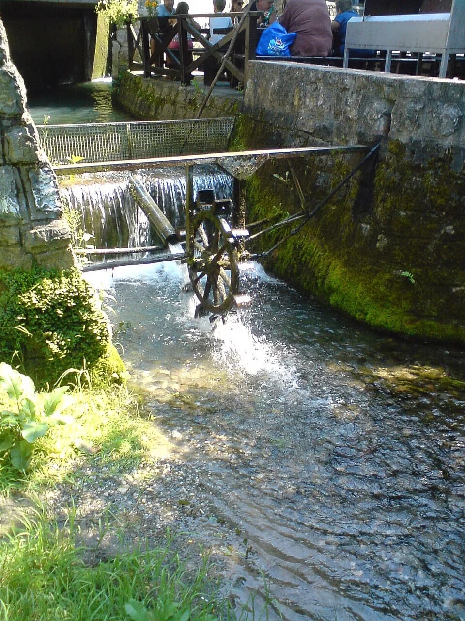 Petnica