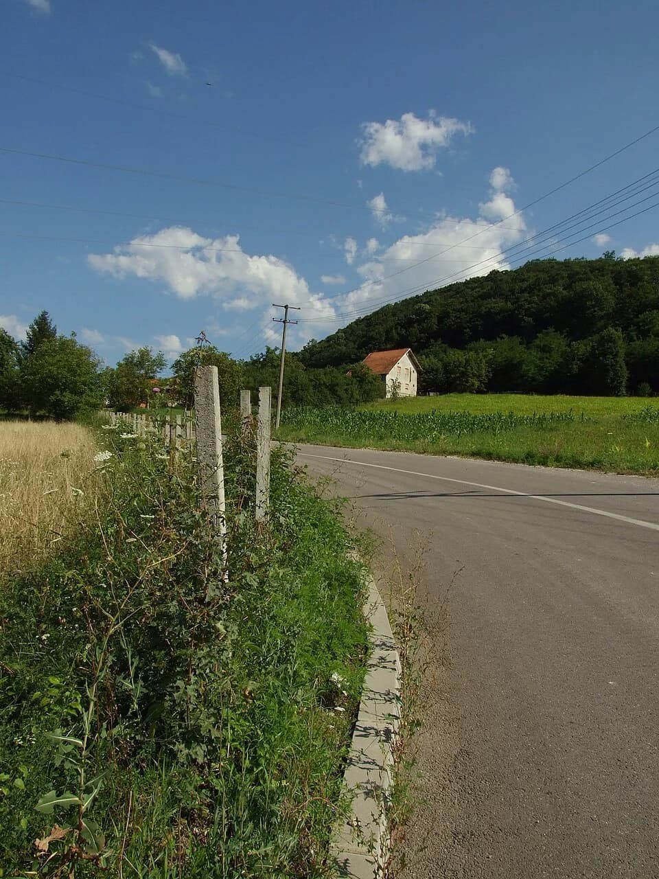 Petnica