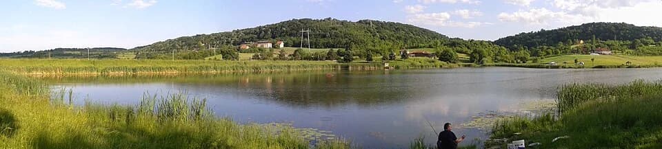 Petnica