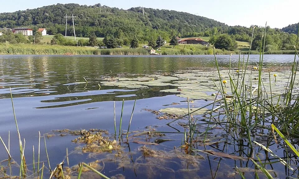 Petnica
