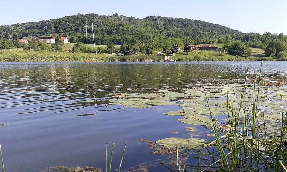 Petnica