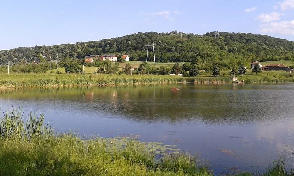 Petnica