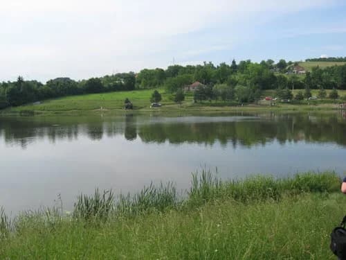 Petnica