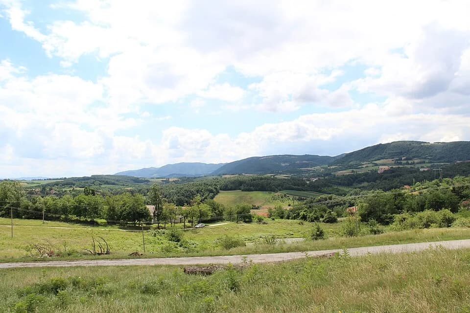 Dračić
